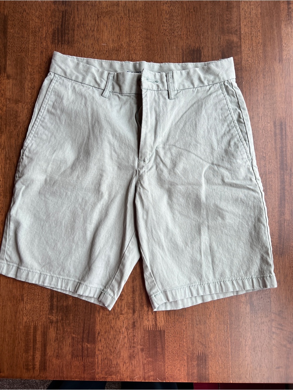 Men's Casual Cotton-Blend Shorts in Light Green